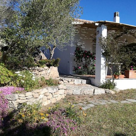 Готель Agriturismo La Valletta Санта-Тереза-Галлура Екстер'єр фото