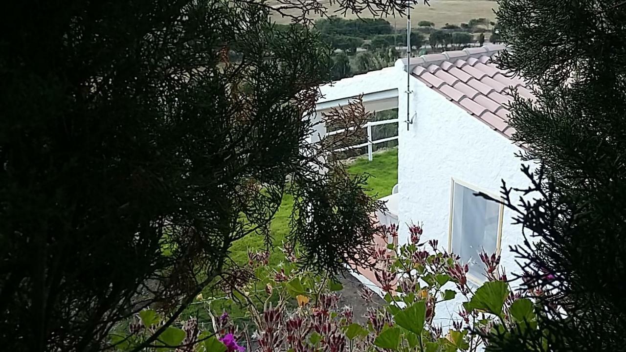 Готель Agriturismo La Valletta Санта-Тереза-Галлура Екстер'єр фото