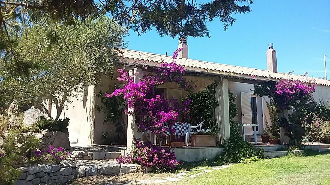 Готель Agriturismo La Valletta Санта-Тереза-Галлура Екстер'єр фото
