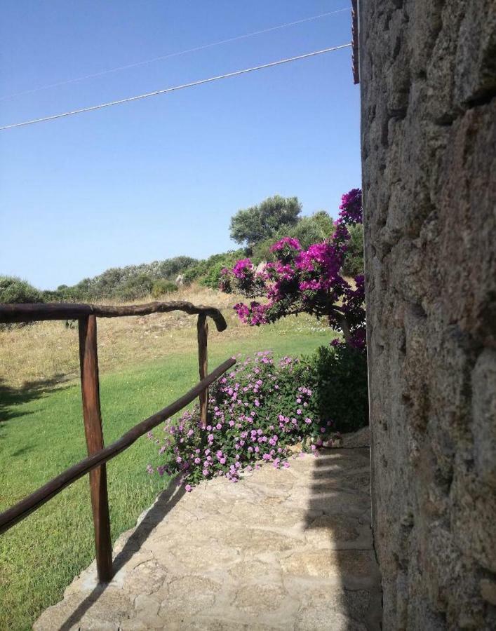 Готель Agriturismo La Valletta Санта-Тереза-Галлура Екстер'єр фото