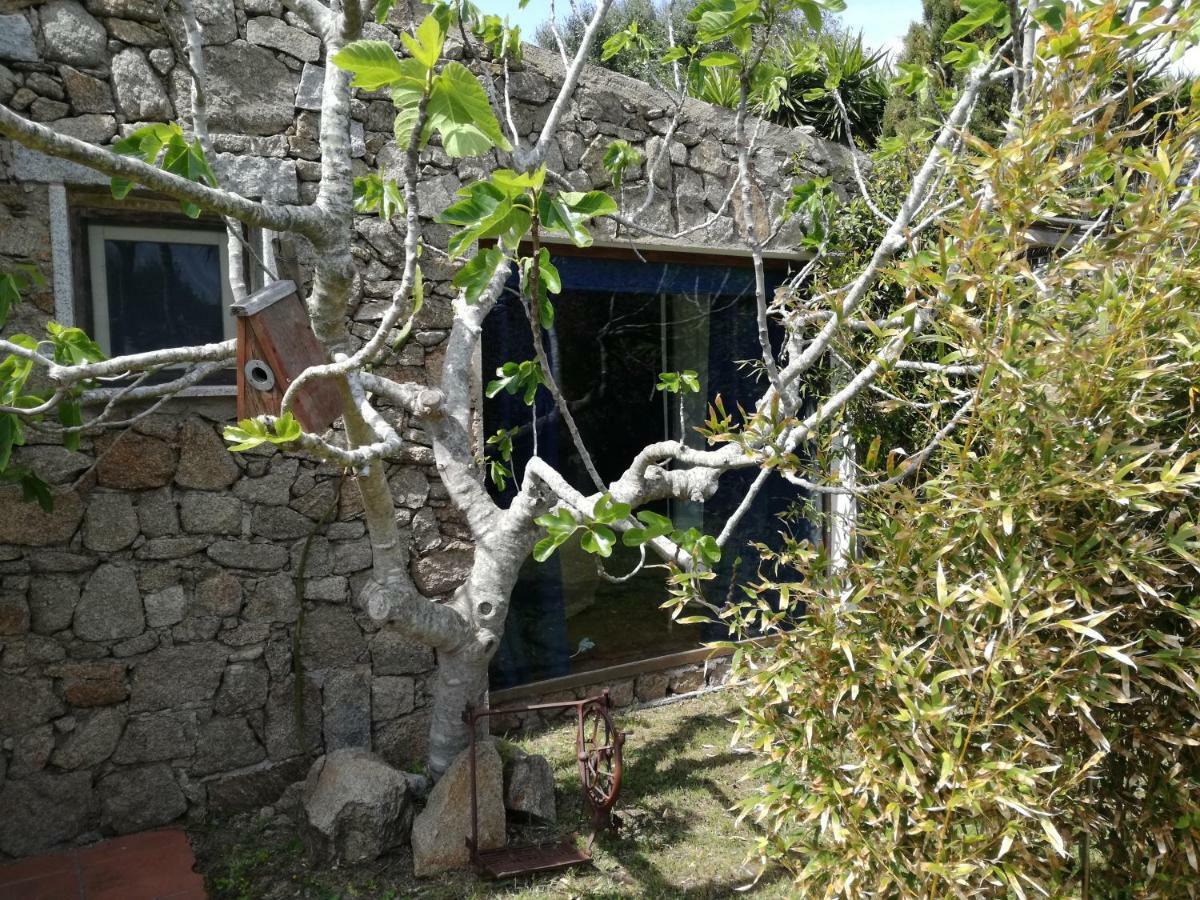 Готель Agriturismo La Valletta Санта-Тереза-Галлура Екстер'єр фото